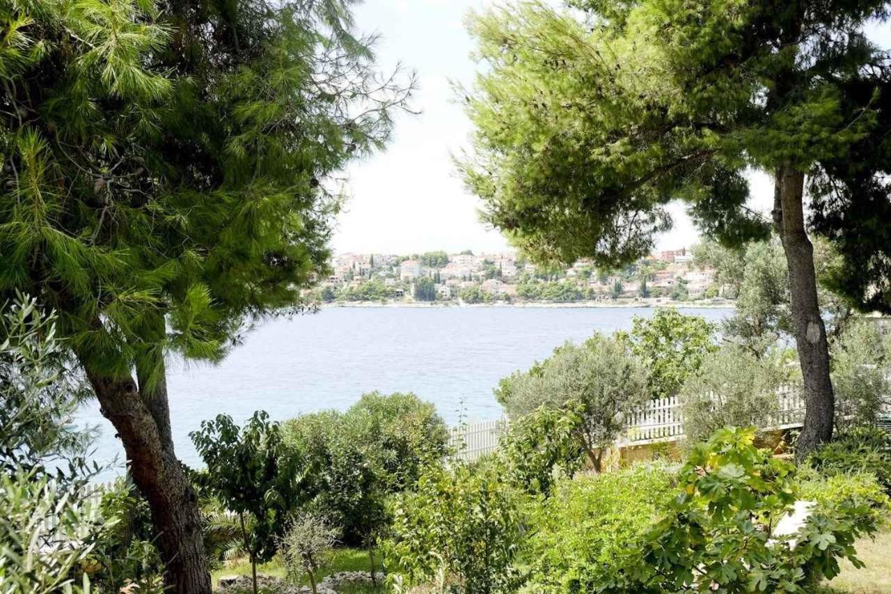 Paulina * Trogir